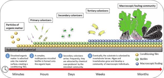 高壓清洗機,進口高壓清洗機,高壓清洗機價格,超高壓清洗機