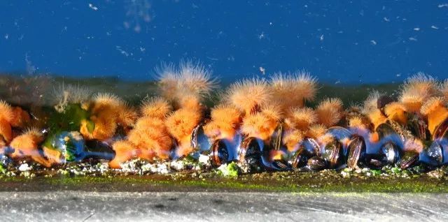 高壓清洗機,進口高壓清洗機,高壓清洗機價格,超高壓清洗機