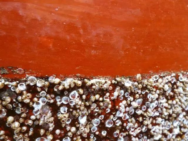 高壓清洗機,進口高壓清洗機,高壓清洗機價格,超高壓清洗機