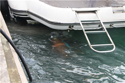 高壓清洗機,進口高壓清洗機,高壓清洗機價格,超高壓清洗機 高壓清洗機,進口高壓清洗機,高壓清洗機價格,超高壓清洗機