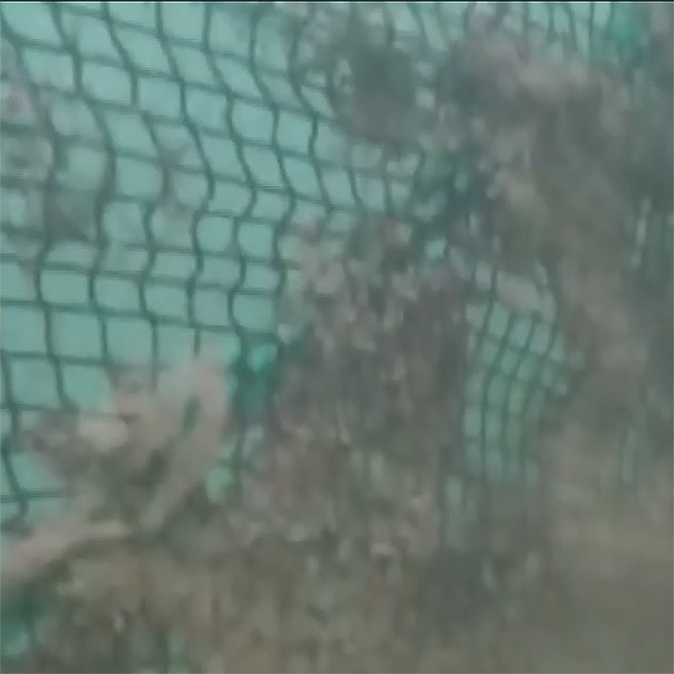 高壓清洗機,進口高壓清洗機,高壓清洗機價格,超高壓清洗機