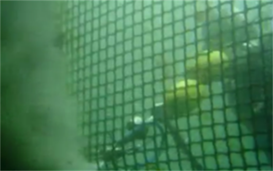 高壓清洗機,進口高壓清洗機,高壓清洗機價格,超高壓清洗機