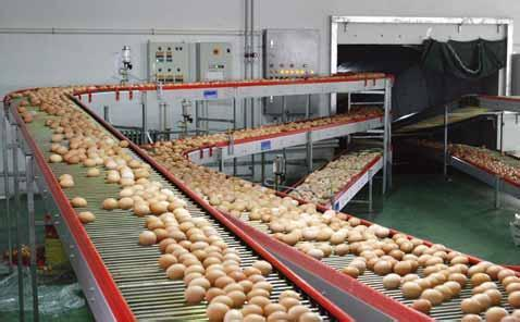 高壓清洗機(jī),進(jìn)口高壓清洗機(jī),高壓清洗機(jī)價格,超高壓清洗機(jī)