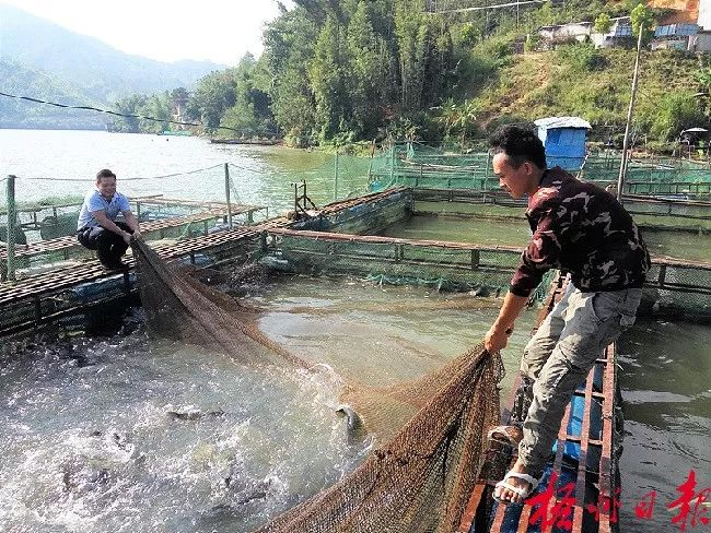 高壓清洗機,進(jìn)口高壓清洗機,高壓清洗機價格,超高壓清洗機