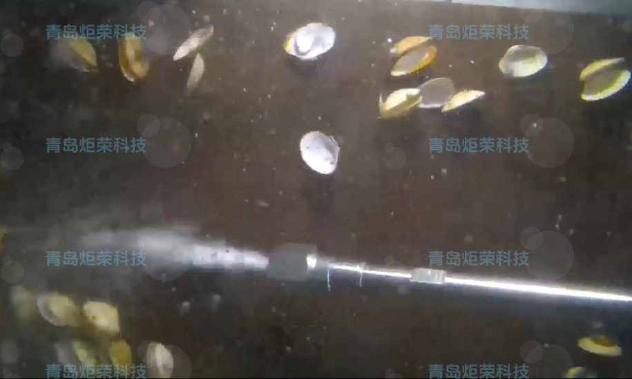 高壓清洗機(jī),進(jìn)口高壓清洗機(jī),高壓清洗機(jī)價(jià)格,超高壓清洗機(jī)